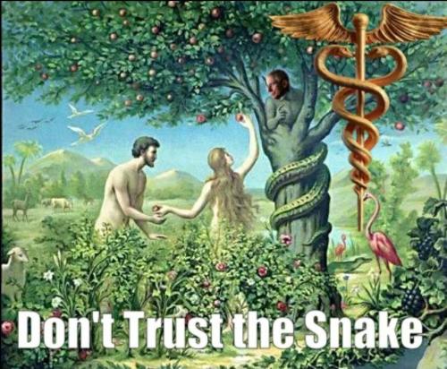 photo_2023-02-20_20-32-49