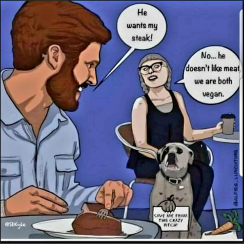 Screenshot_20230226_154913_Chrome