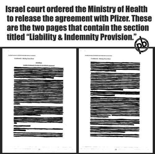 FB_IMG_1677084624328