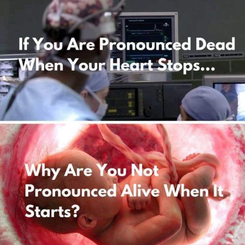 FB_IMG_1676855576510