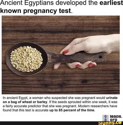 3509a0f7-735d-48ac-b751-1983a4b202ca