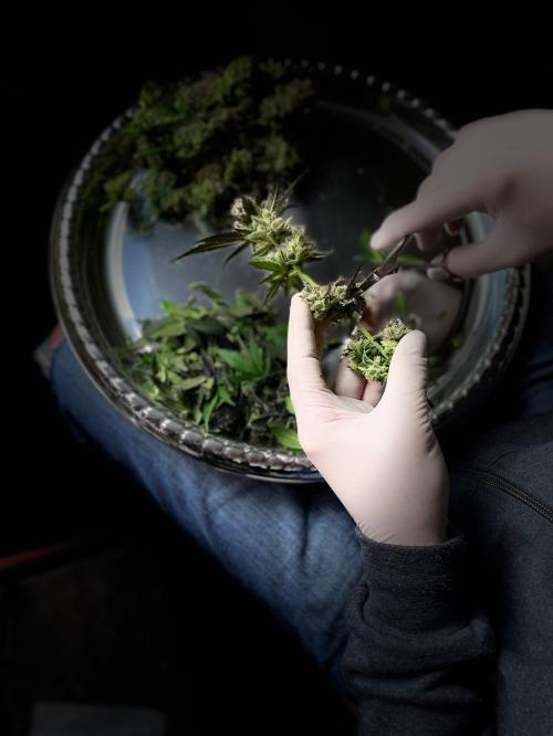 FEE7F7FE-1CD6-40B3-A439-3ED632682D6C