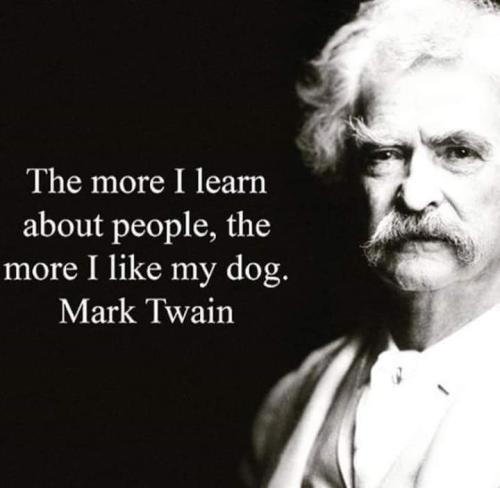 FB_IMG_1677594302330