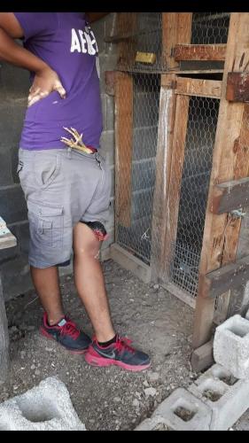 FB_IMG_1677099195008