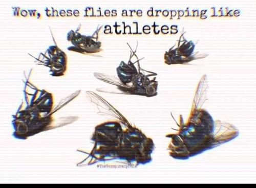 received_749427436276421