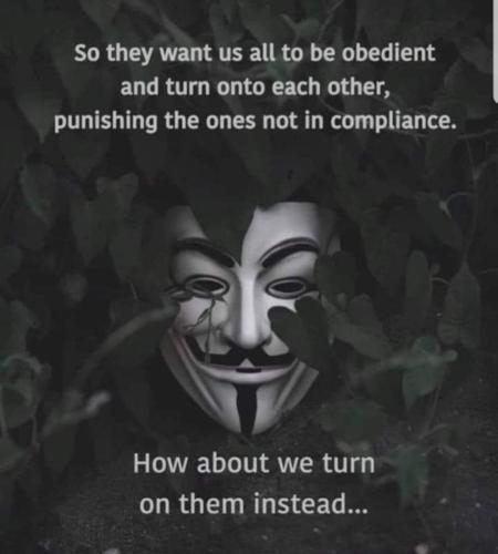 FB_IMG_1676864564040