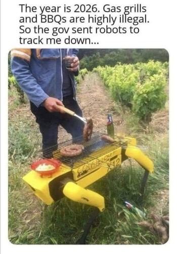 send in the robots