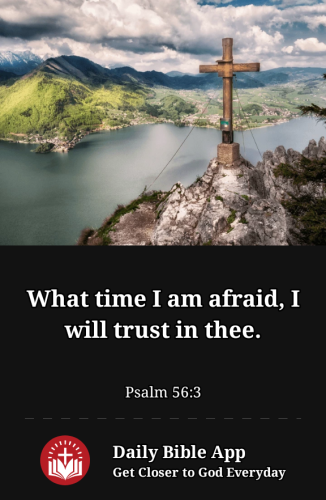 2023-01-311675217362651