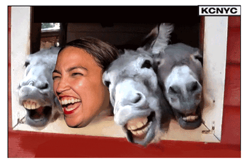 xephula_a203363d92bbd510253052ed3ca03386