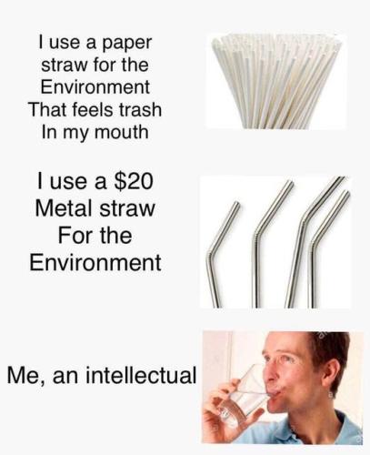an intellectual