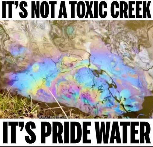 FB_IMG_1677253155053