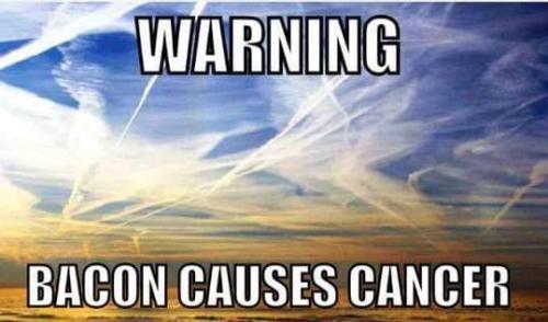 a545c281-454b-43bb-acc8-cf6627526e35
