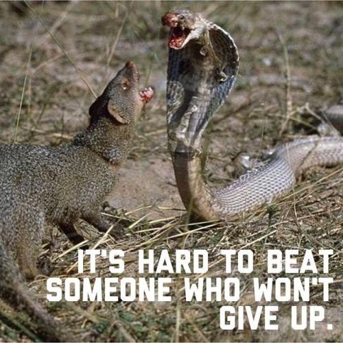 461f0e15-86a6-427d-bbd7-c0d150cda14a