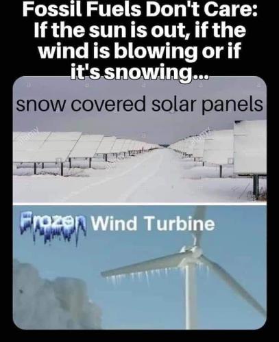 frozen panels