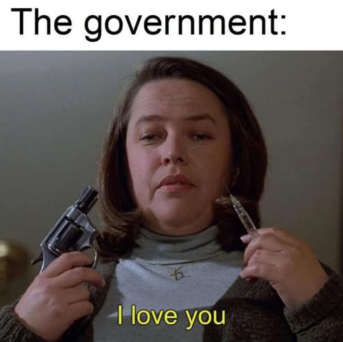 thegovernent
