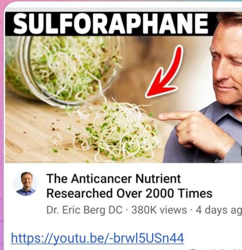 20:08:19 GMT-0500 (EST)