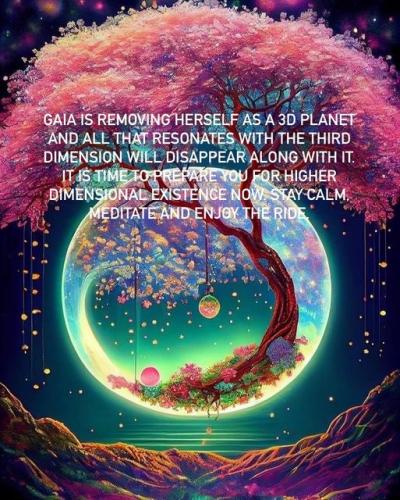 333220738_8923766 (1)