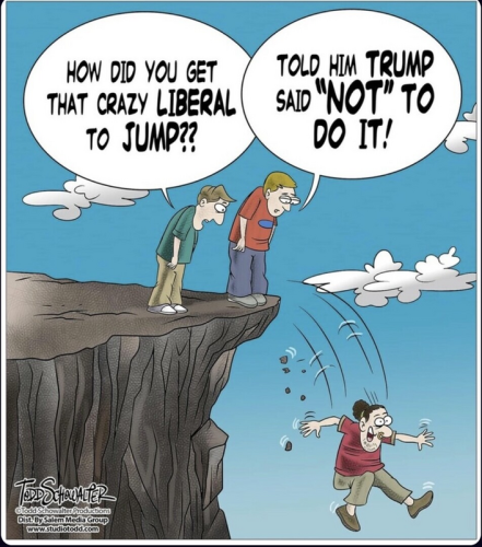 liberal_jump_Trump_funny