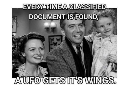got its wings