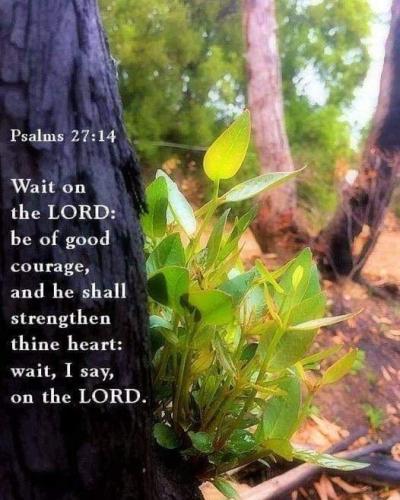 77d623f3-b708-4456-bff4-75e6eedccb2f