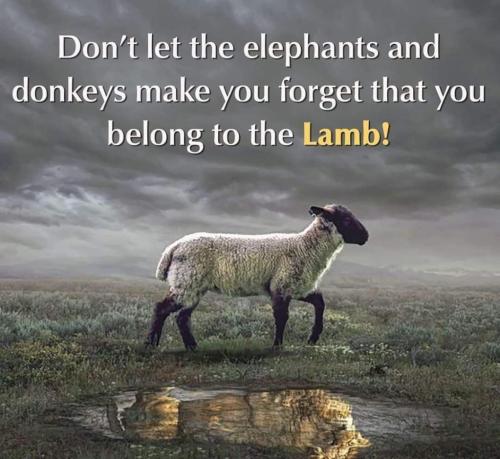 93f37e73-690b-47ea-9076-622c9f0b4369