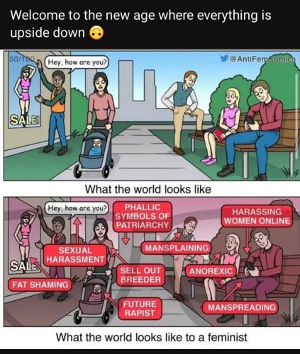 Screenshot_20230204_123603_YouTube