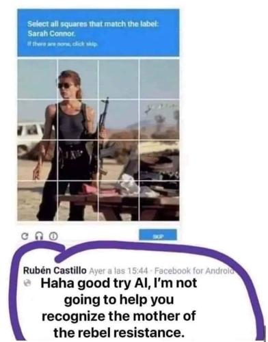 FB_IMG_1677156429819