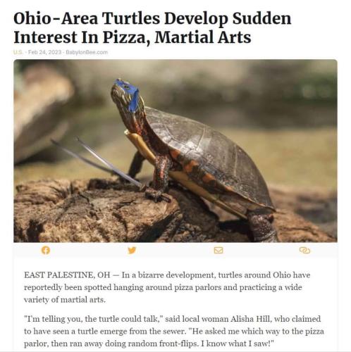 FB_IMG_1677291162049