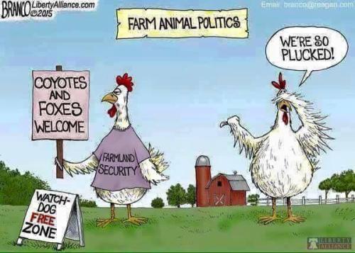 16640694_10207964109853288_6923677622312857573_n