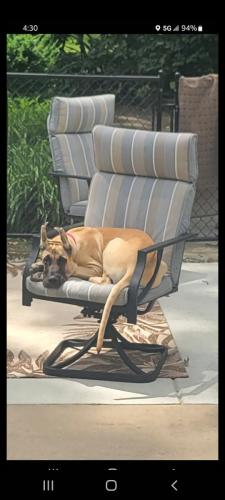 9529bf47-d3d9-47d5-bfc3-55907a3895f6