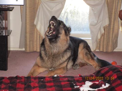 20:29:50 GMT-0600 (CST)