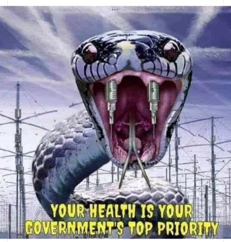 328721310_533703995256442_2263074652146482278_n