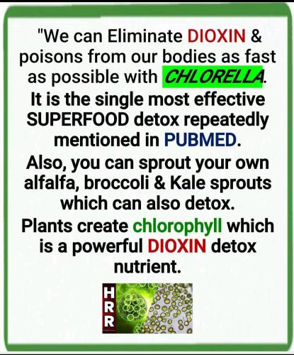 10:17:27 GMT-0500 (EST)