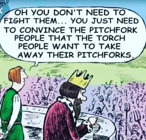 FB_IMG_1676721801752