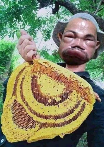 first day of bee keeping went well