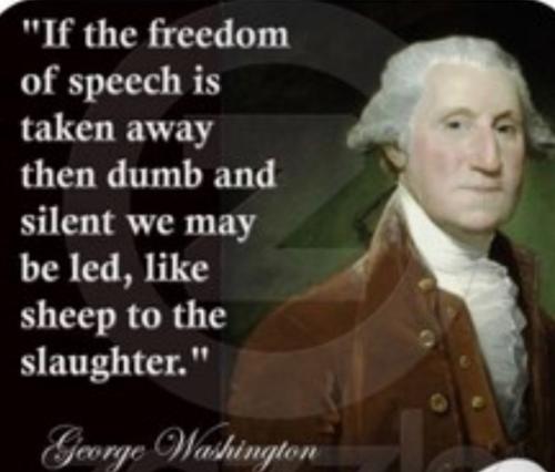 Screenshot_20230222_130623_Quora