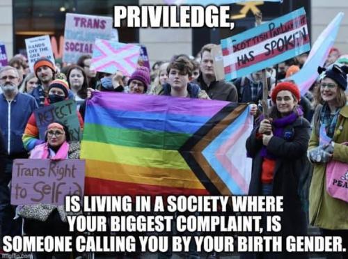 Privilege 1