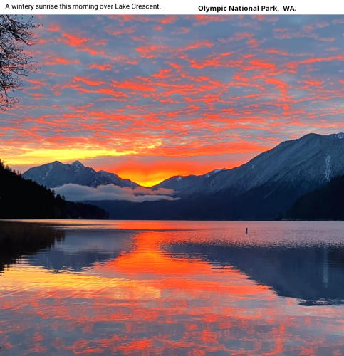 Screenshot_2023-02-25-23-40-41_kindlephoto-22913600