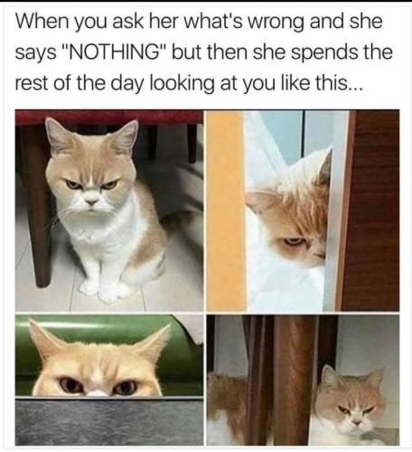 FB_IMG_1650809045927