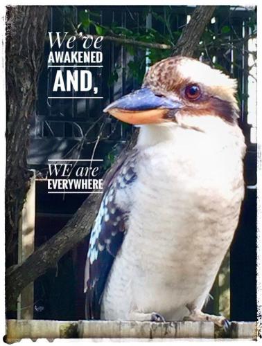 IMG_20230216_184859_893