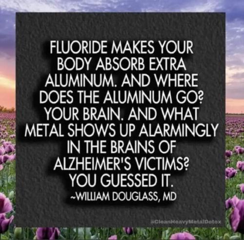 FB_IMG_1676516906593