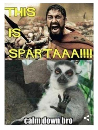 FB_IMG_1662305131160