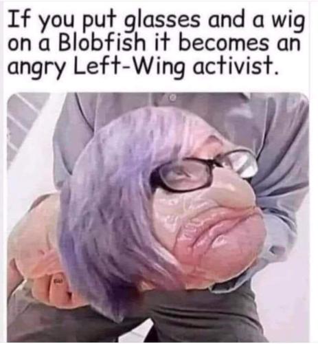 FB_IMG_1676223431946