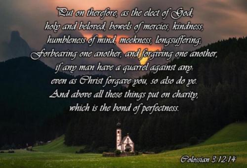 4d4af097-31d1-41e0-8022-2cd8049226c1