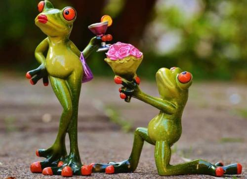 FB_IMG_1676394136411