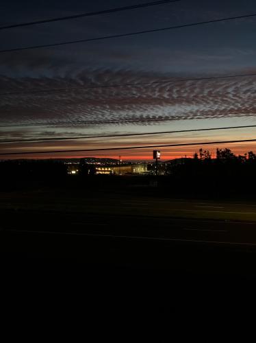 C94F7E75-0C12-4948-955B-3606A2D76D9A