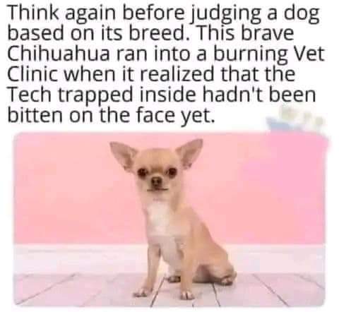 Think again