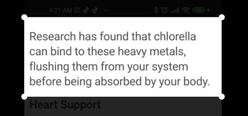 10:17:27 GMT-0500 (EST)