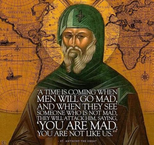 FB_IMG_1677551453968