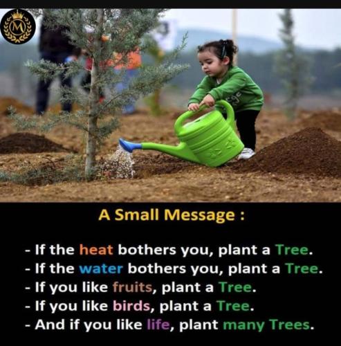 Screenshot_20230203_233808_YouTube